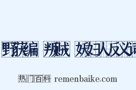 野获编·叛贼·妖妇人反义词是什么意思的图片